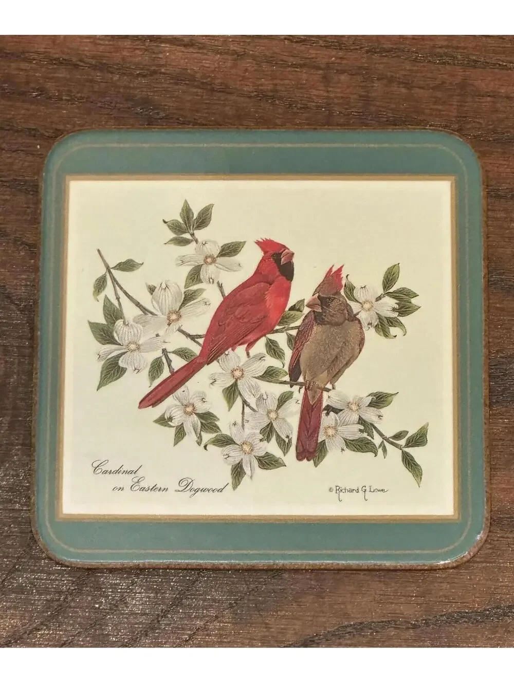 Vintage Pimpernel North American Song Birds Cork Back Coaster Set 5pc